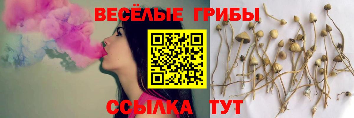Псилоцибиновые грибы ЛСД  Вход с VPN  Гусиноозёрск 